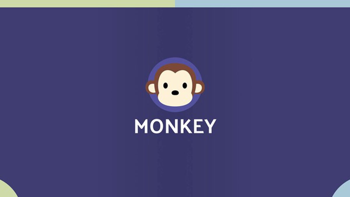 Monkey See Monkey Do image number null